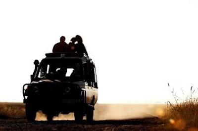 امبسلی سرنا سافاری لج