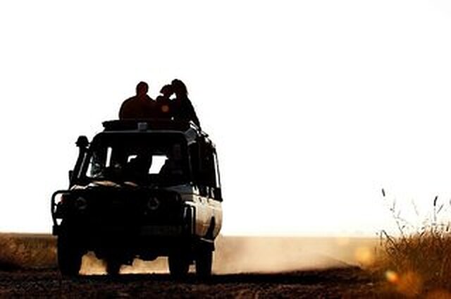 امبسلی سرنا سافاری لج