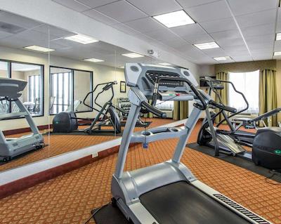 کمفرت این اند سویتز کوایل اسپرینگز