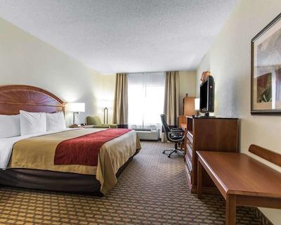 کمفرت این اند سویتز کوایل اسپرینگز