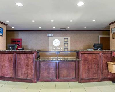 کمفرت این اند سویتز کوایل اسپرینگز