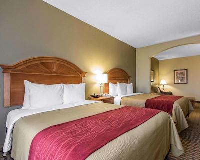 کمفرت این اند سویتز کوایل اسپرینگز