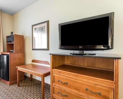 کمفرت این اند سویتز کوایل اسپرینگز