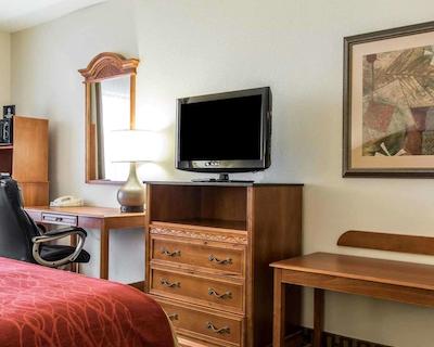 کمفرت این اند سویتز کوایل اسپرینگز