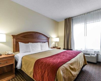 کمفرت این اند سویتز کوایل اسپرینگز