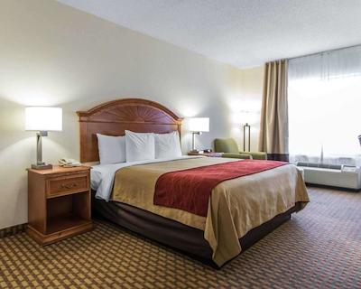 کمفرت این اند سویتز کوایل اسپرینگز