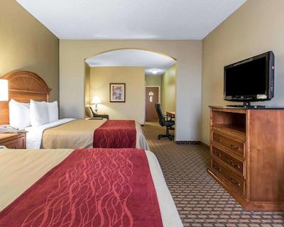 کمفرت این اند سویتز کوایل اسپرینگز