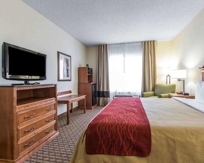 کمفرت این اند سویتز کوایل اسپرینگز