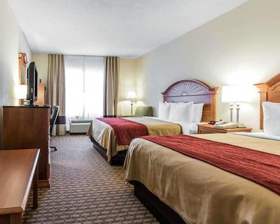 کمفرت این اند سویتز کوایل اسپرینگز