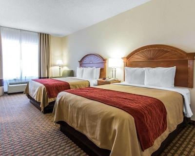 کمفرت این اند سویتز کوایل اسپرینگز