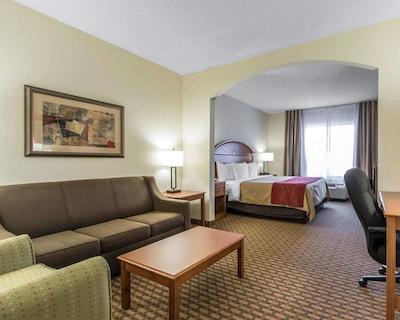 کمفرت این اند سویتز کوایل اسپرینگز