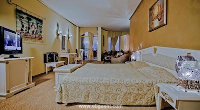 ویکتوریا پالاس