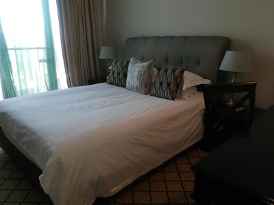 د میچلانجلو تورز