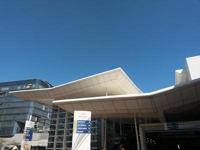 د میچلانجلو تورز