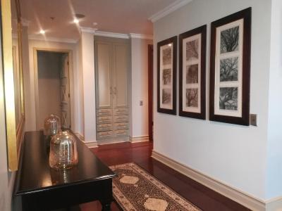 د میچلانجلو تورز