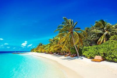 لیلی بیچ ریزورت اند اسپا