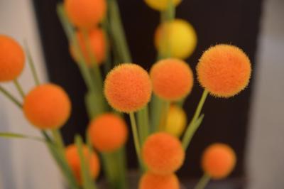 ورنا ریزرت شارجاه