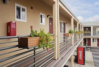 امریکاز بست والو این-اسیسید اسود