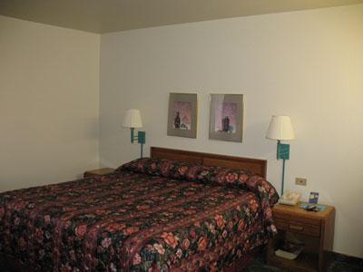 امریکاز بست والو این-اسیسید اسود