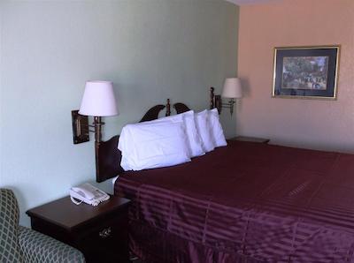 رد روف این سومتر