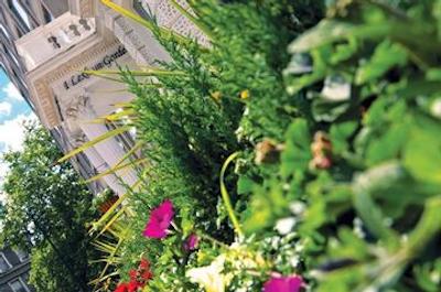 1 لکسهام گاردنز هتل