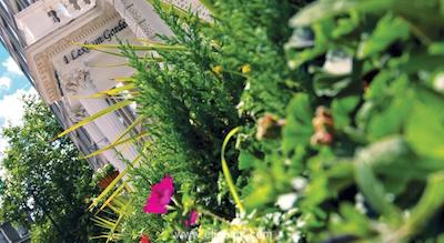 1 لکسهام گاردنز هتل