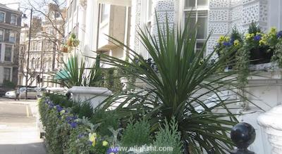 1 لکسهام گاردنز هتل