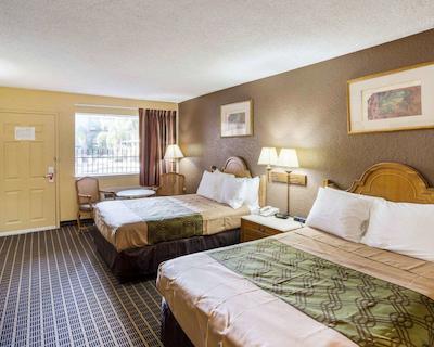 اکنو لج کنر