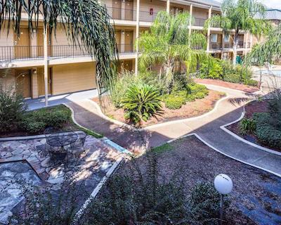 اکنو لج کنر