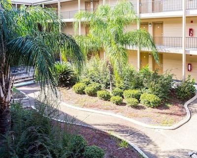 اکنو لج کنر