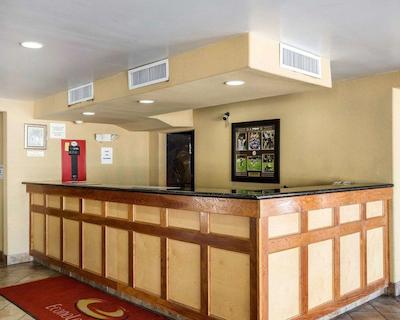 اکنو لج کنر