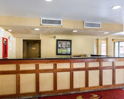 اکنو لج کنر