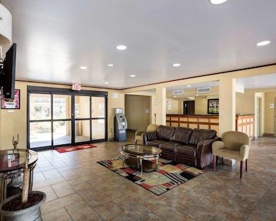 اکنو لج کنر