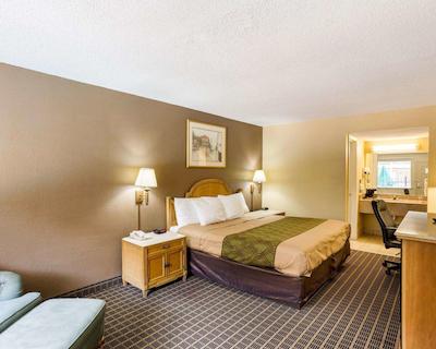 اکنو لج کنر