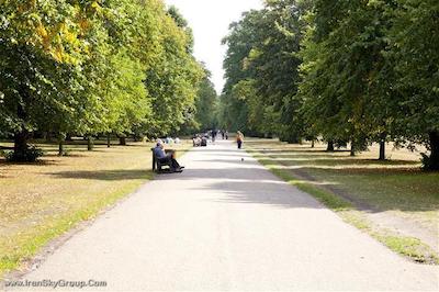 هاید پارک اکزکیوتیو