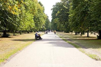 هاید پارک اکزکیوتیو