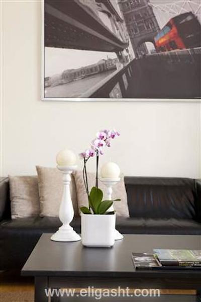 هاید پارک اکزکیوتیو