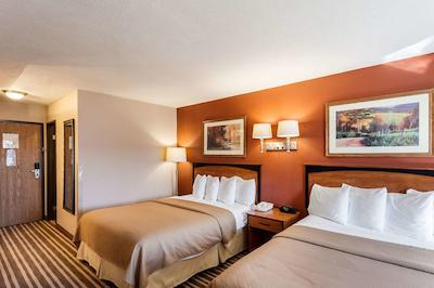 کوالیتی این