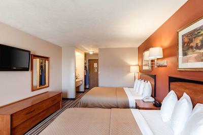 کوالیتی این