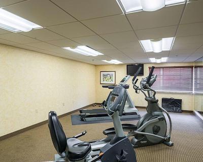 کلارین د بل