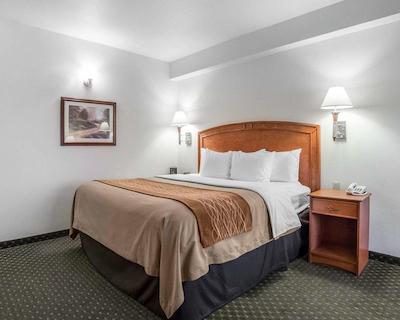 کمفرت این اند سویتز راولینز