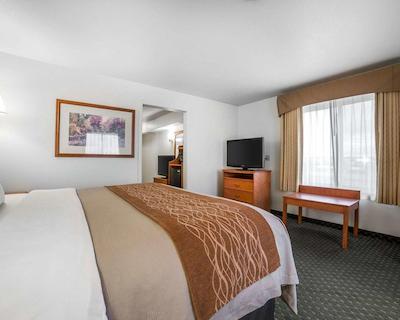 کمفرت این اند سویتز راولینز