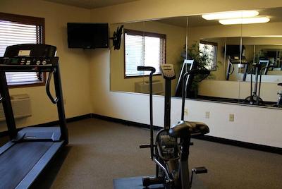 امریسین وست بند