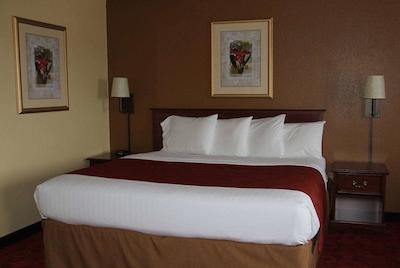 امریسین وست بند