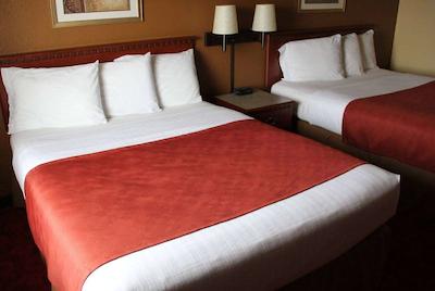 امریسین وست بند