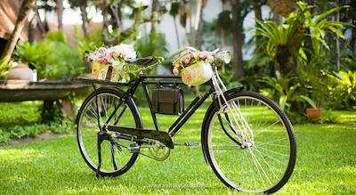 آوانی پاتایا ریزورت