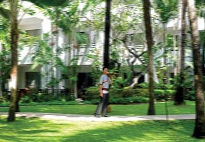 آوانی پاتایا ریزورت