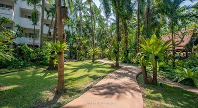 آوانی پاتایا ریزورت