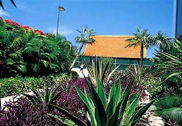 آوانی پاتایا ریزورت