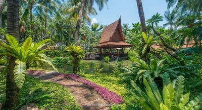 آوانی پاتایا ریزورت